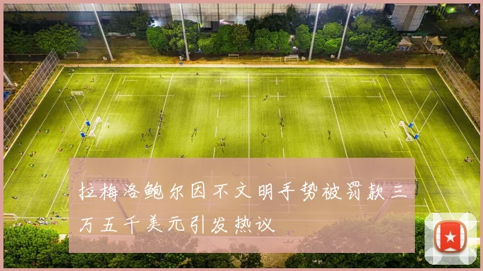 拉梅洛鲍尔因不文明手势被罚款三万五千美元引发热议
