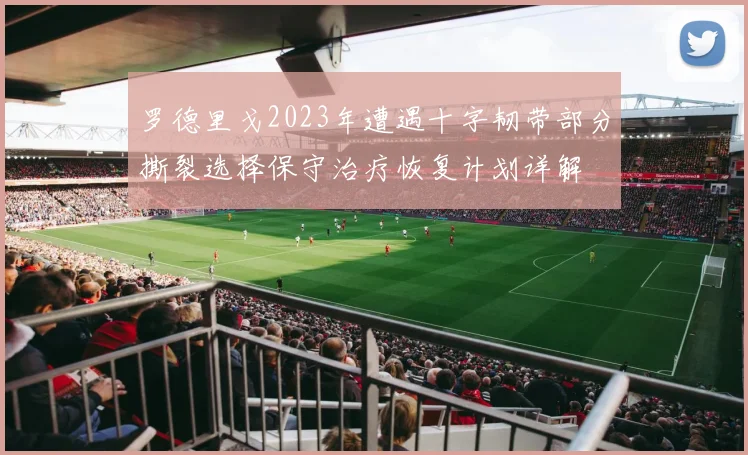罗德里戈2023年遭遇十字韧带部分撕裂选择保守治疗恢复计划详解