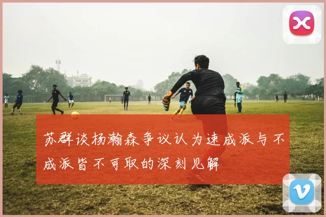 苏群谈杨瀚森争议认为速成派与不成派皆不可取的深刻见解