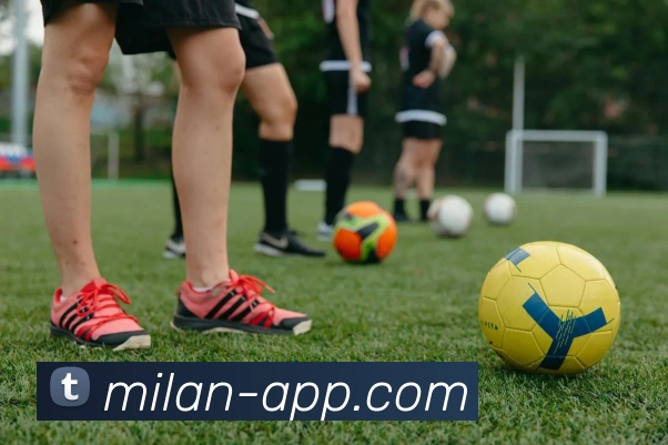 米兰体育平台生态图